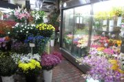 「ハナハル」　（栃木県那須塩原市）の花屋店舗写真1
