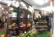 「ハナハル」　（栃木県那須塩原市）の花屋店舗写真2
